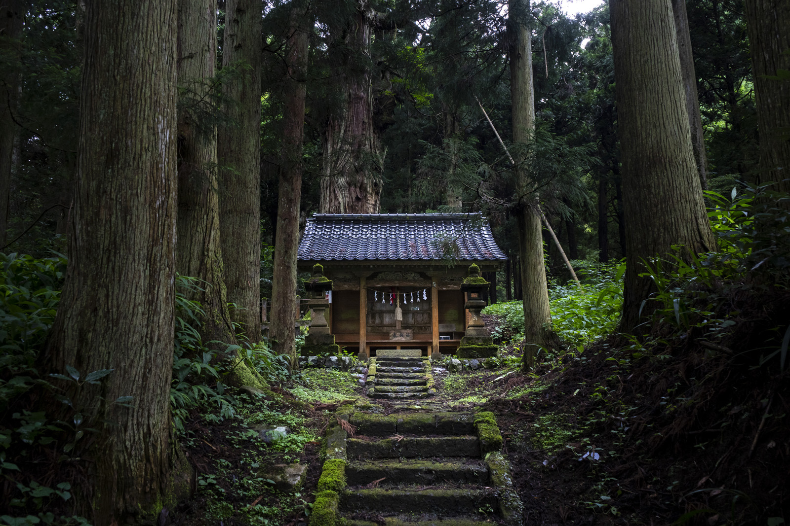 熊野神社 (石山の大スギ) - 神社を旅する